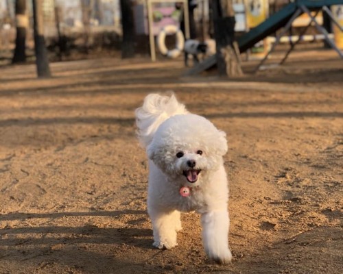 힐링